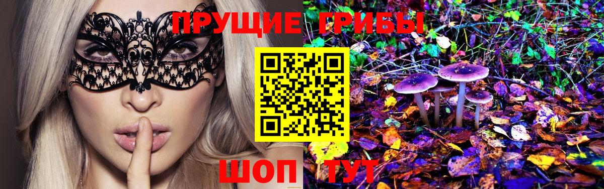 хочу   Вход с VPN  Кемерово  Псилоцибиновые грибы Psilocybe 