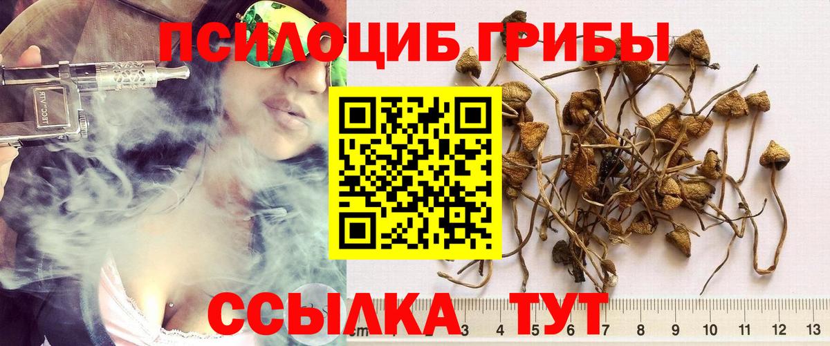 Галлюциногенные грибы мицелий Кемерово
